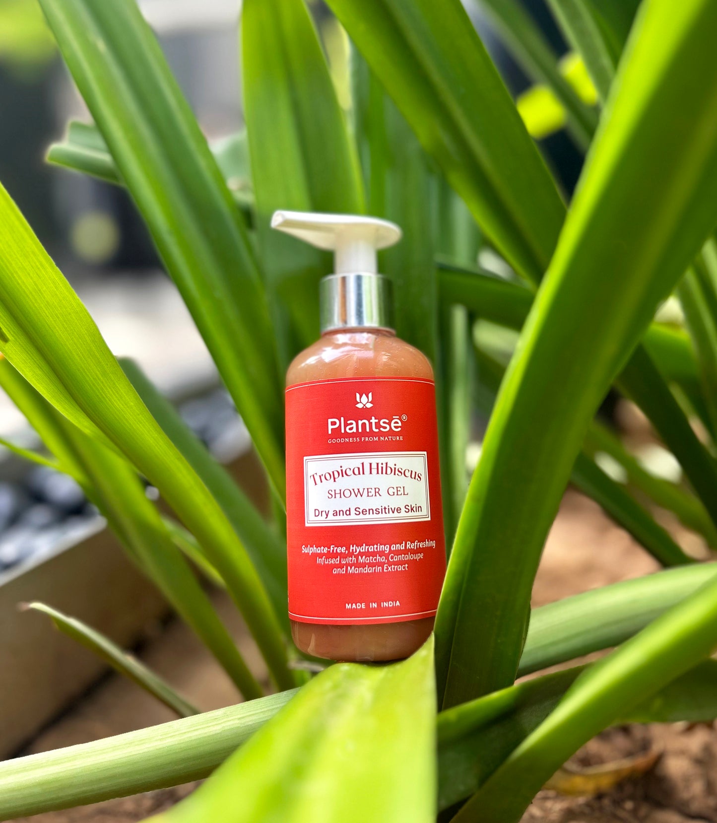 Tropical Hibiscus Shower Gel | 200ml