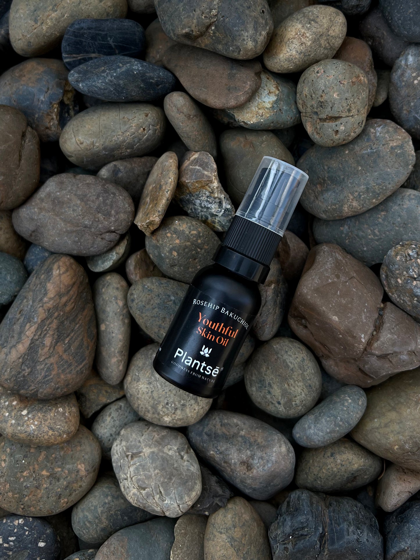 Rosehip Bakuchiol Youthful Skin Oil | 15ml